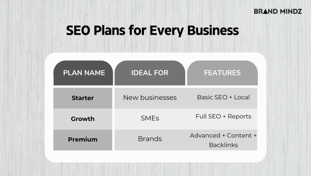 SEO Plan Brand Mindz